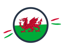 Welsh Flag