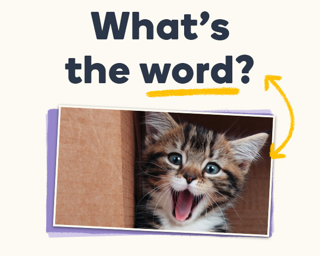 What's the Word? September Edition